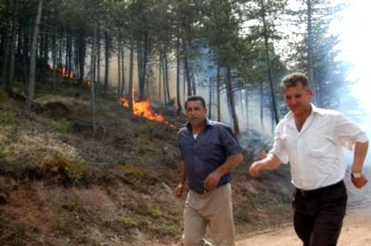 Karabük\'te Orman Yangını