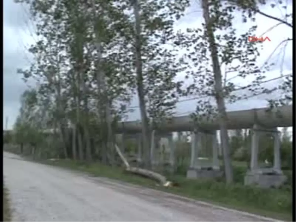 Kepsut\'ta Çatılar Uçtu, Ağaçlar Devrildi