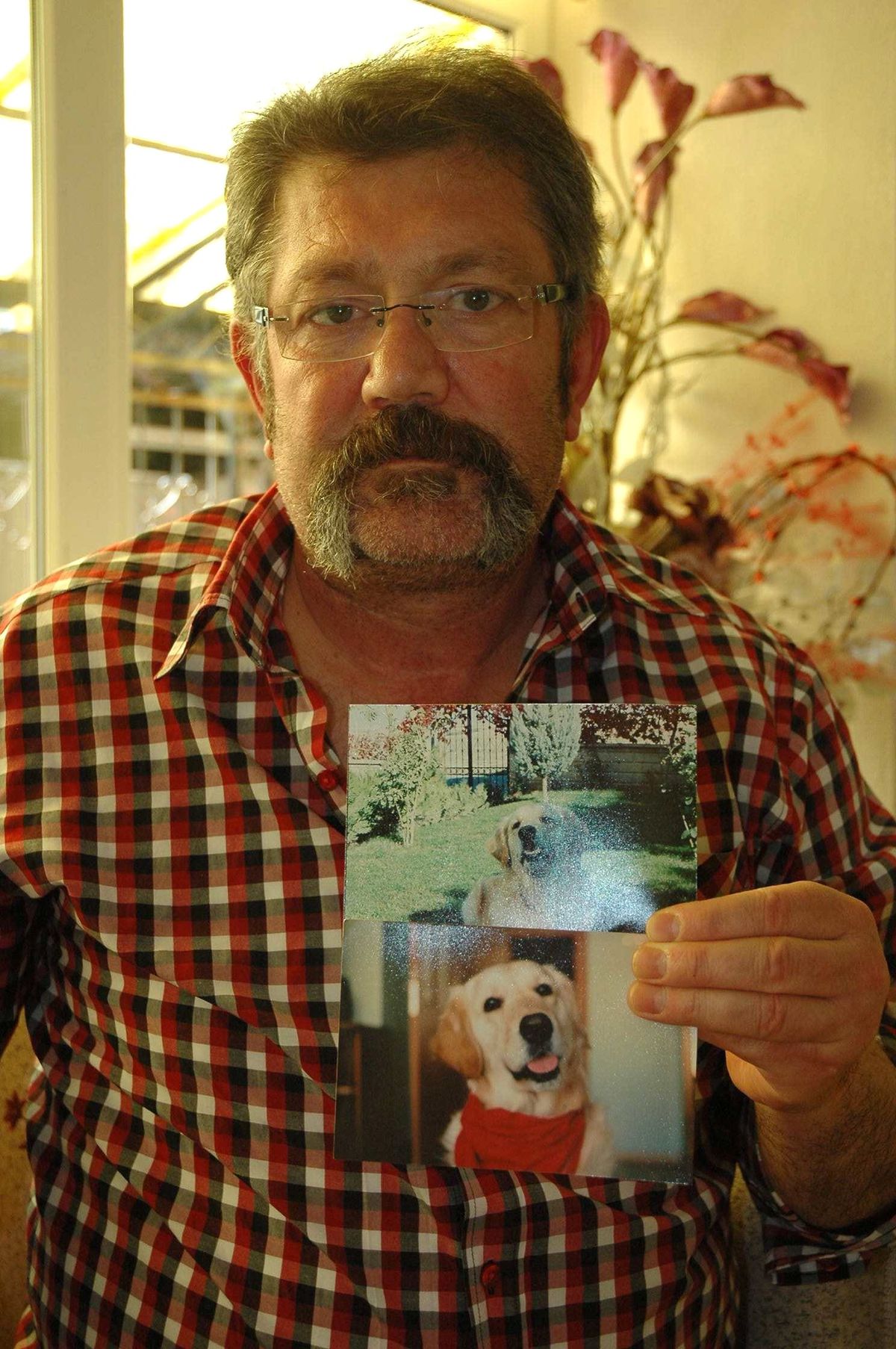 Köpeğini Getireni Para ile Ödüllendirecek