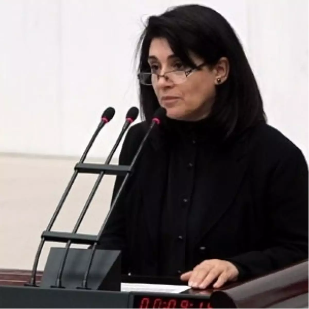 Leyla Zana AP Başkanı Schulz ile Görüştü