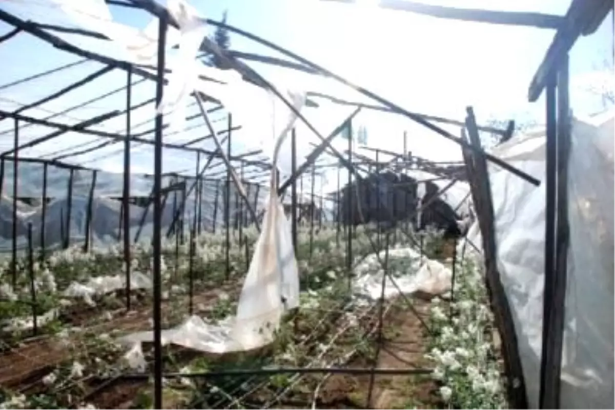 Lodos, Bursa ve Yalova\'yı da Vurdu