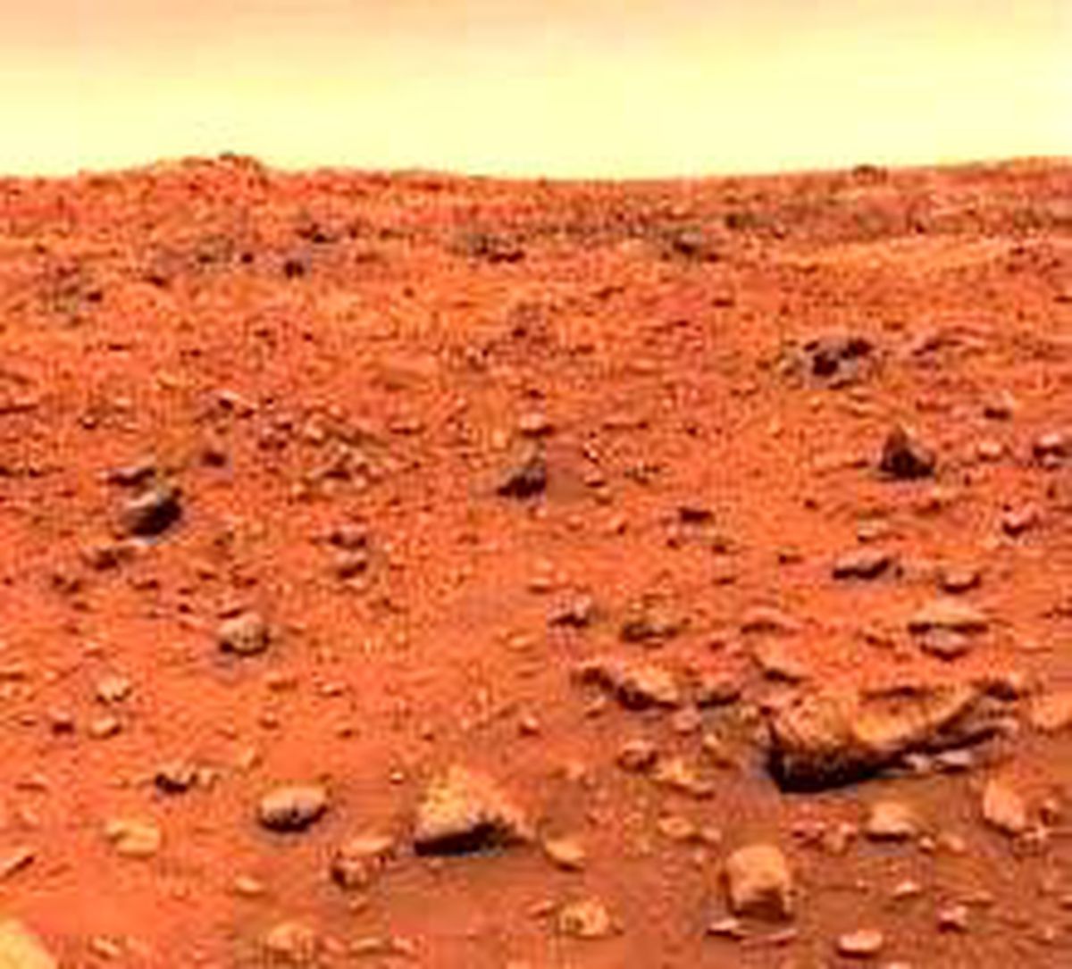 Mars\'ta Mikrobik Hayat, 1976\'da Bulundu!