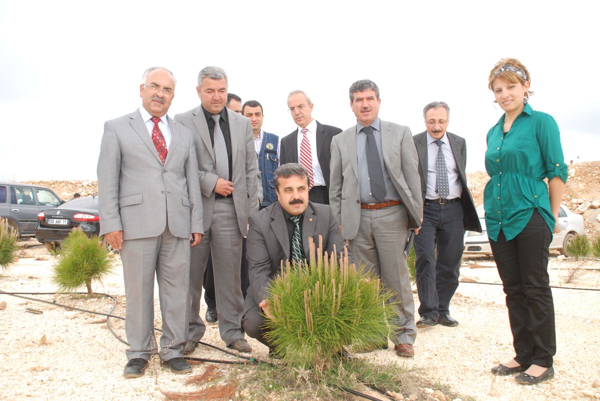 Mersin'de 17 Milyon Fidan Toprakla Buluştu