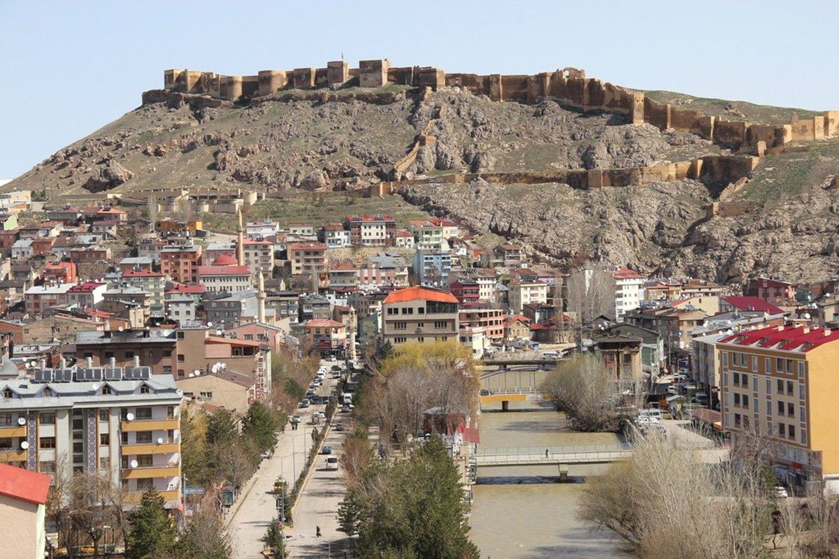 Orta Kaldırımlardaki Ağaçlar Elden Geçiyor