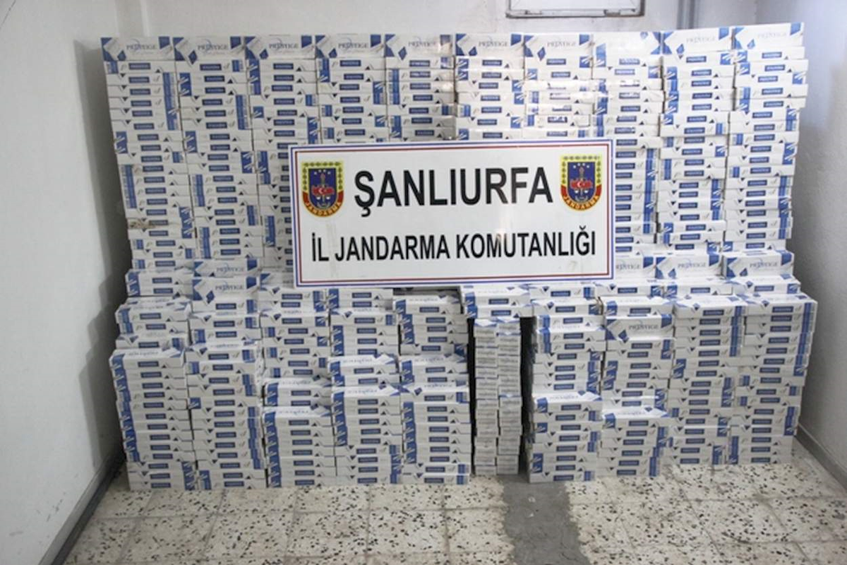 Şanlıurfa\'da 19 Bin 360 Paket Kaçak Sigara Ele Geçirildi