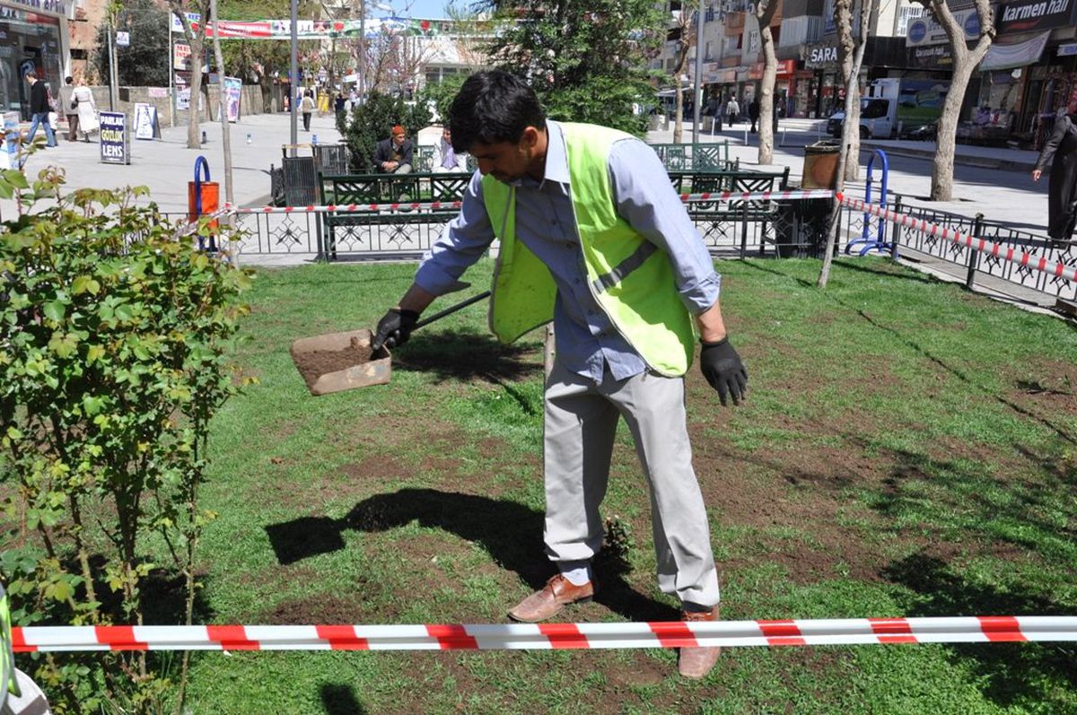 Siirt\'te Park ve Bahçelerde Çimlendirme Çalışması Başladı