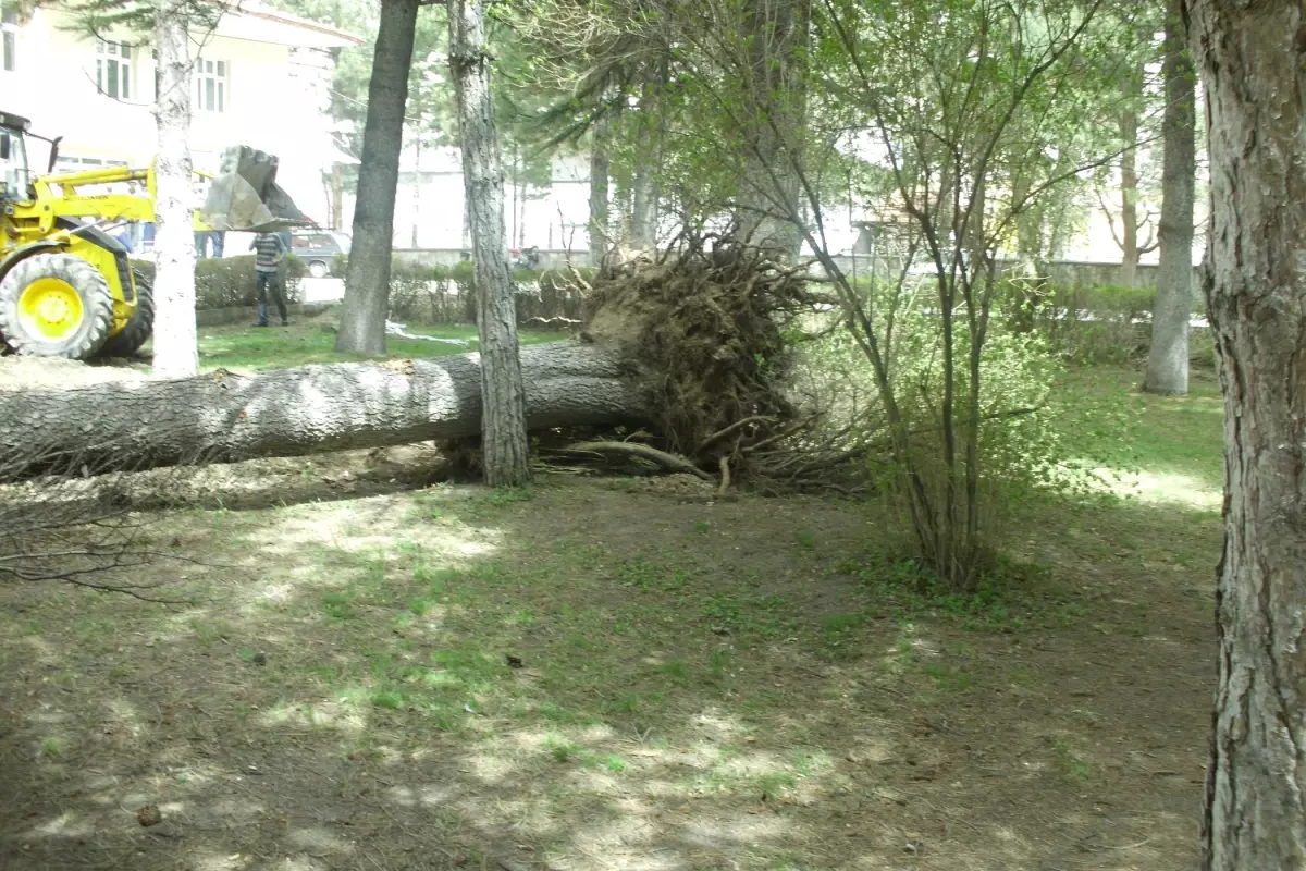 Şuhut\'ta Şiddetli Fırtına Etkili Oldu