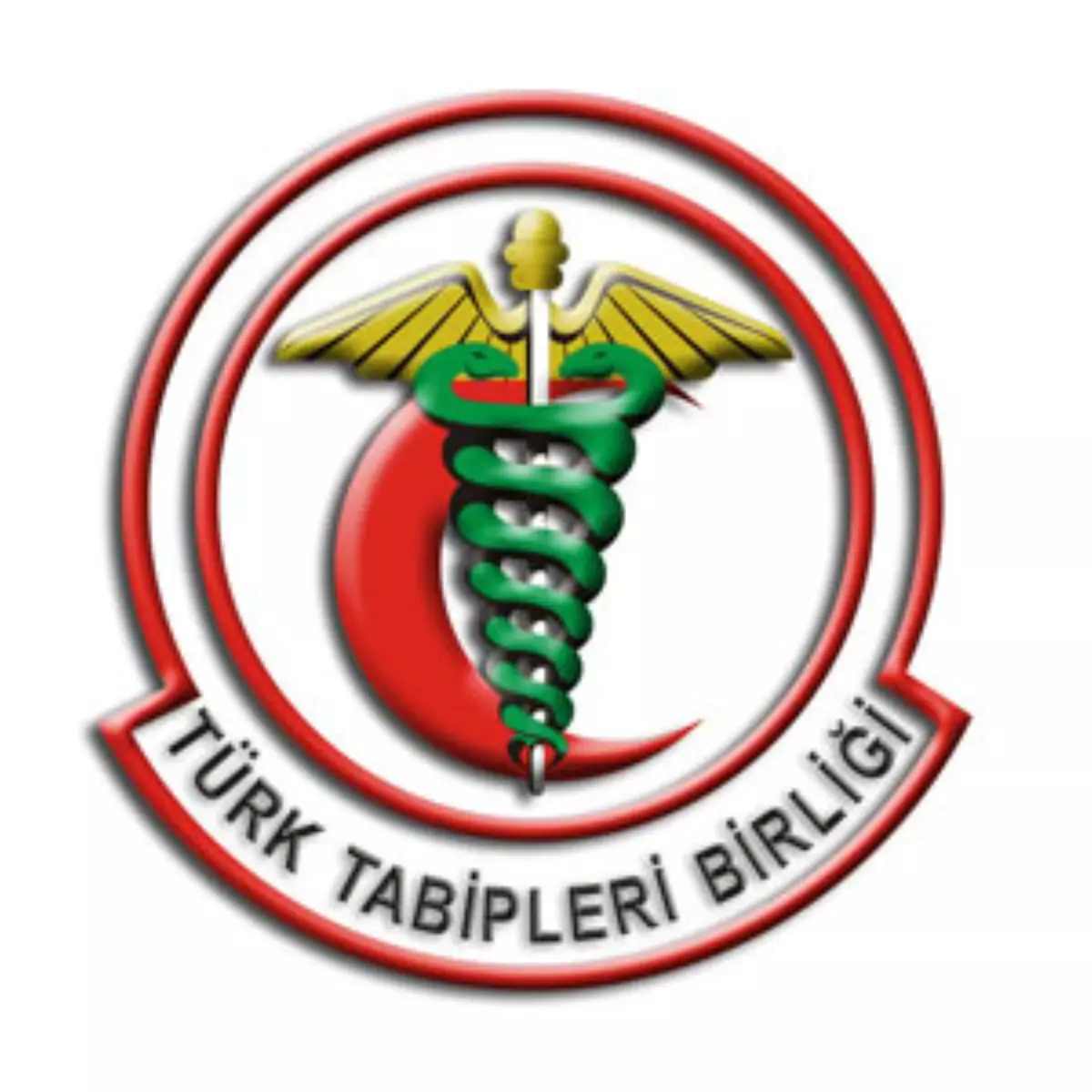 Ttb-Ses: "Yarın Sağlık Hizmeti Vermiyoruz"