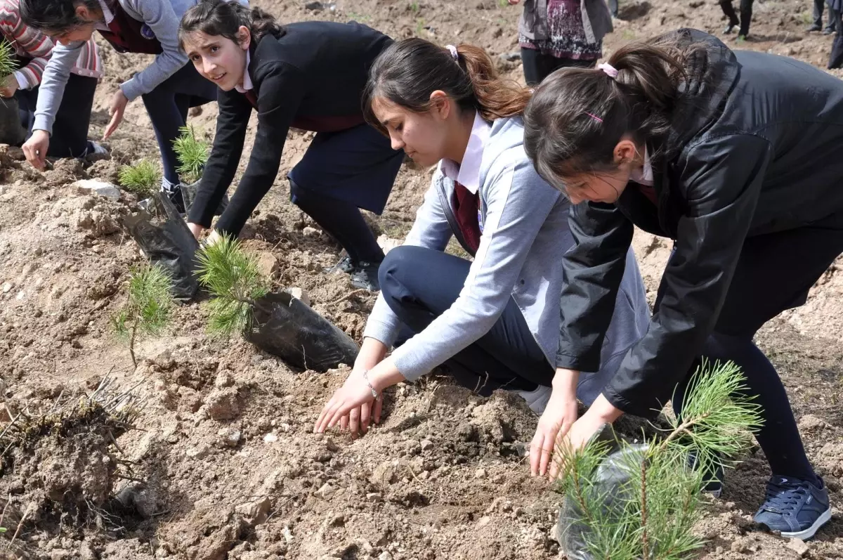 Yerköy Ağaçlandırma Şenliğinde 5 Bin Fidan Dikildi