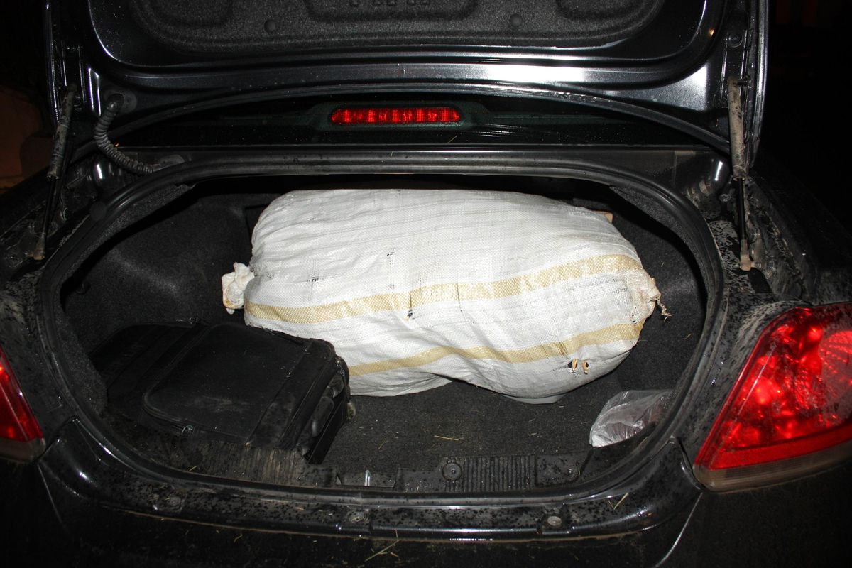 16 Kilogram Esrar Ele Geçirildi