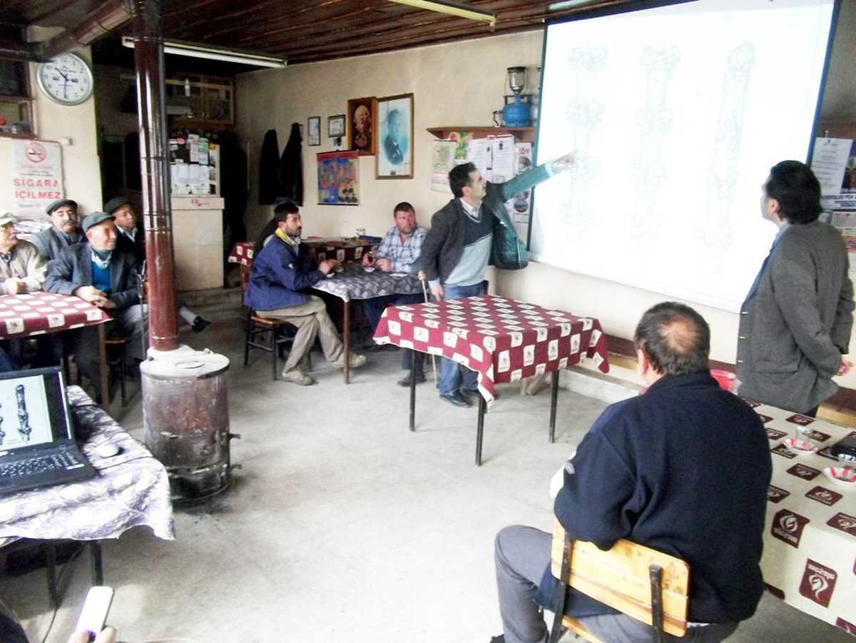 Balya'da Meyve Ağacı Budama Semineri