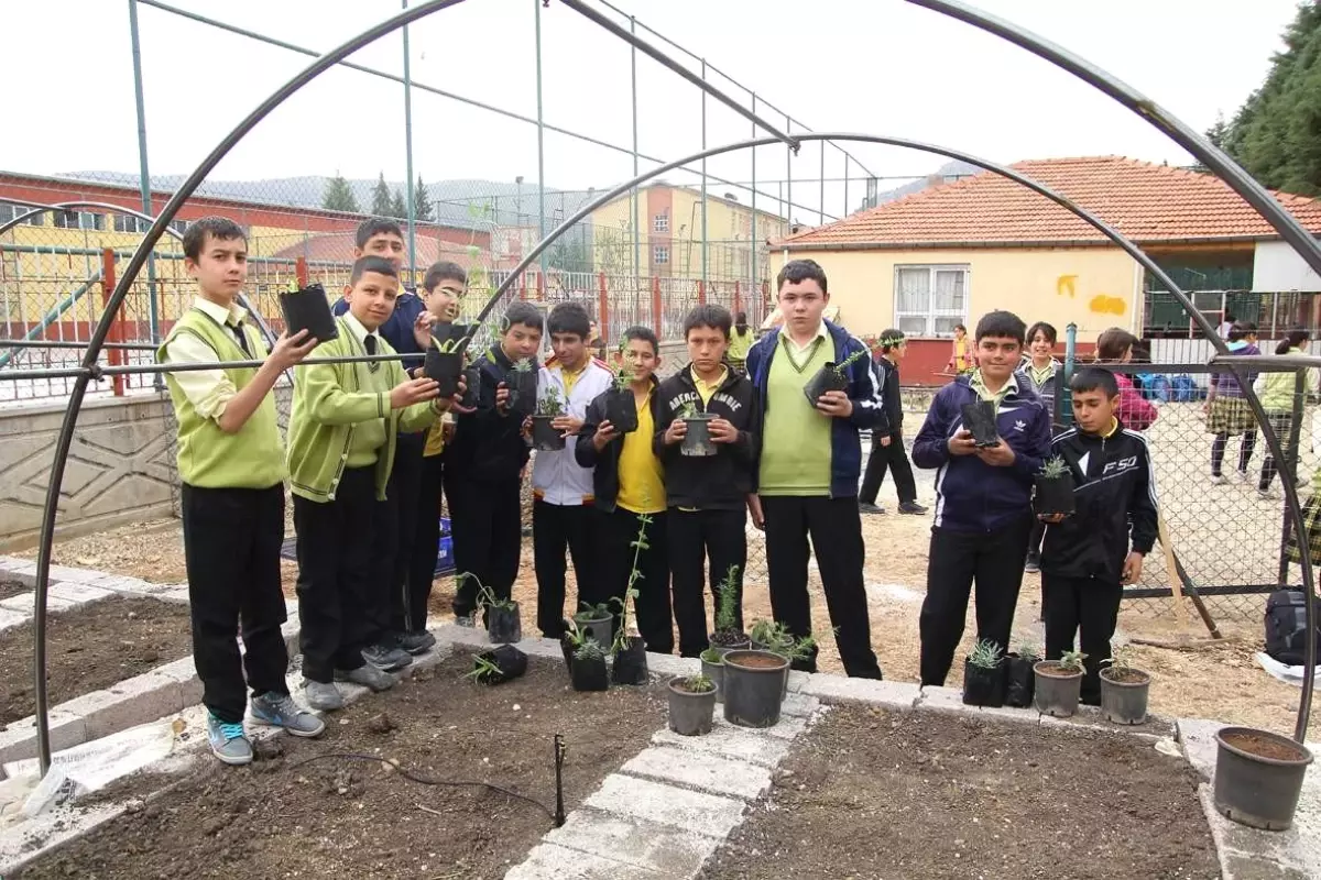 Bucak Salep\'i Okul Bahçesinde Yetiştirilecek