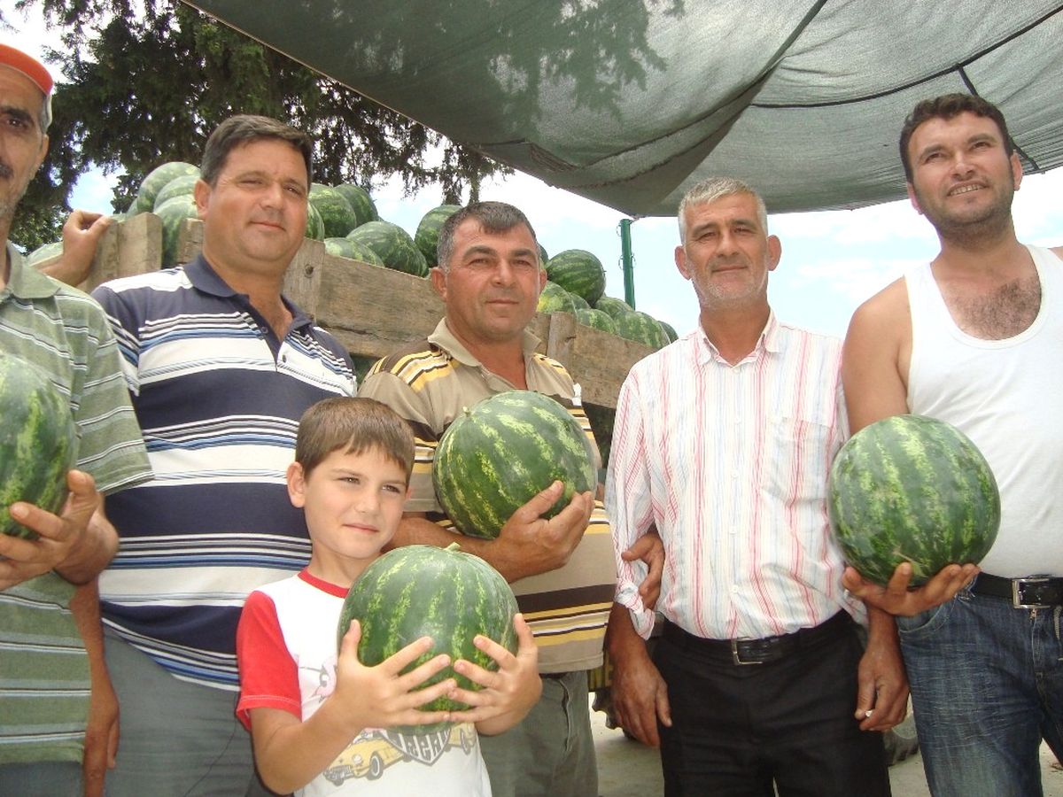 Karpuz Üreticisine "İmha" Uyarısı