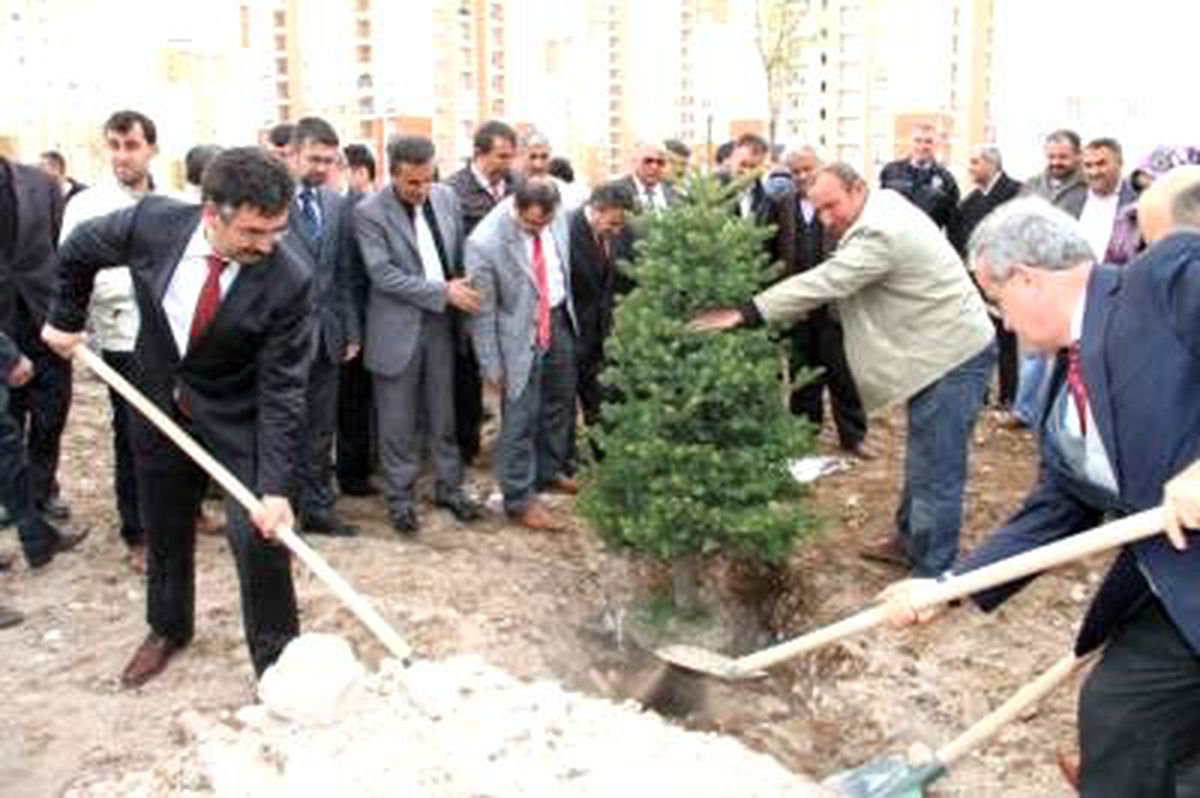 Kutlu Doğum Anısına Park
