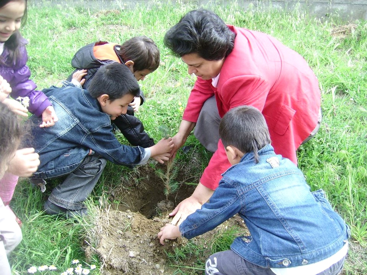 Minikler 30 Fıstık Çamını Toprakla Buluşturdu