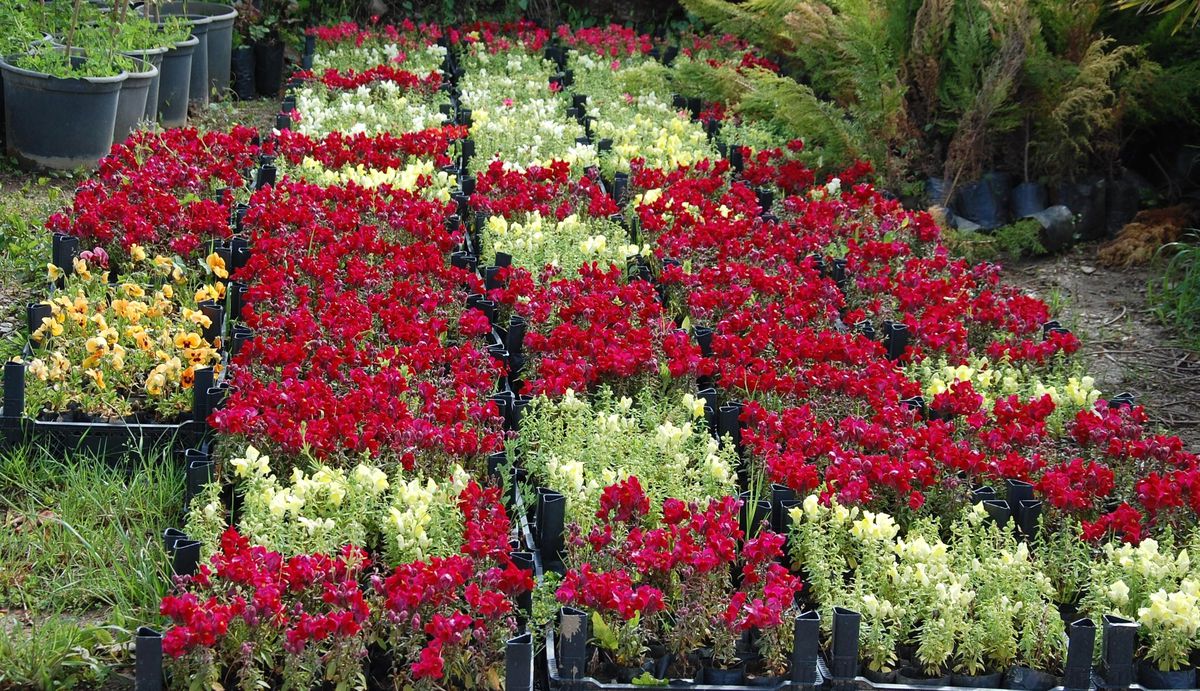 Turgutlu\'da Park ve Meydanlar Göz Kamaştıracak
