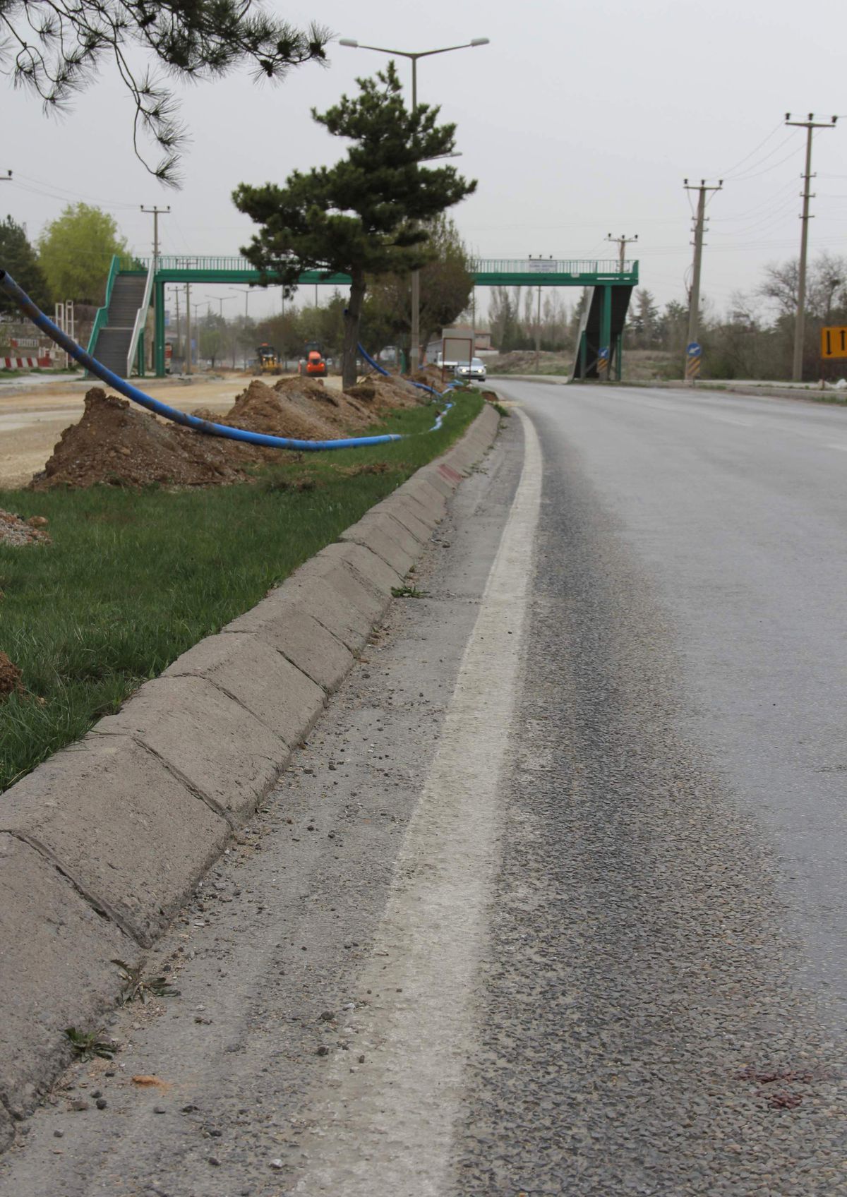 Üst Geçidi Kullanmadı, Canından Oldu