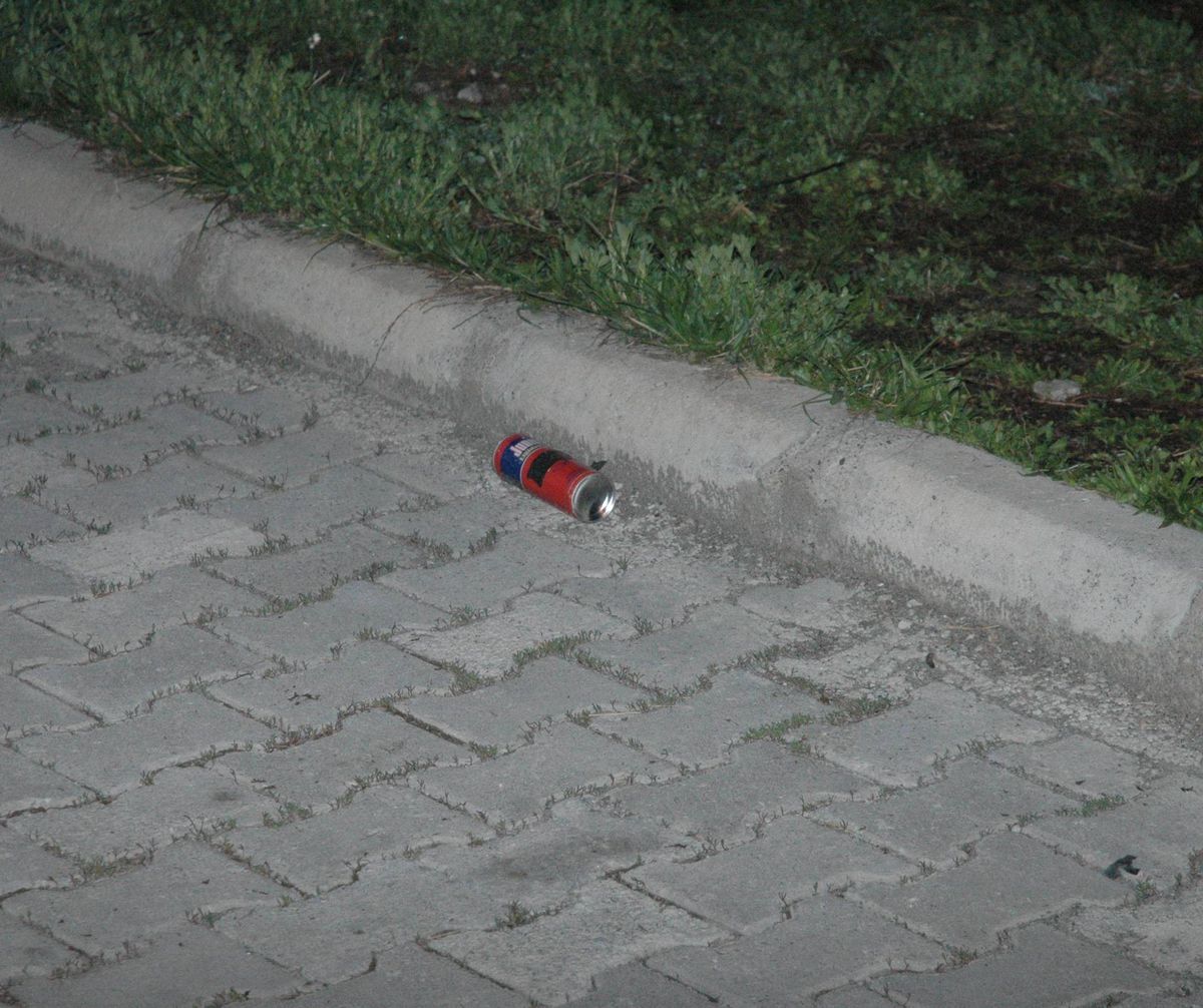 Van\'da Hareketli Gece