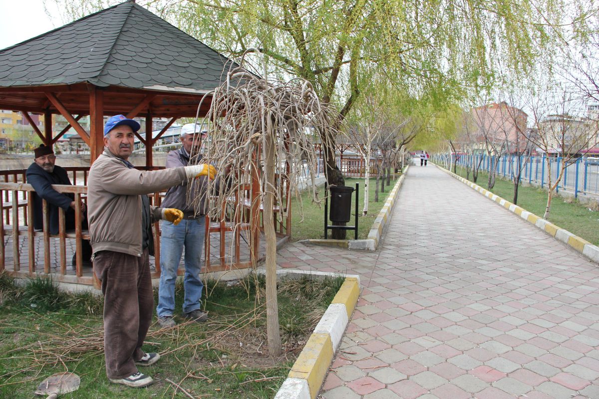 Ağaçlara Bahar Bakımı