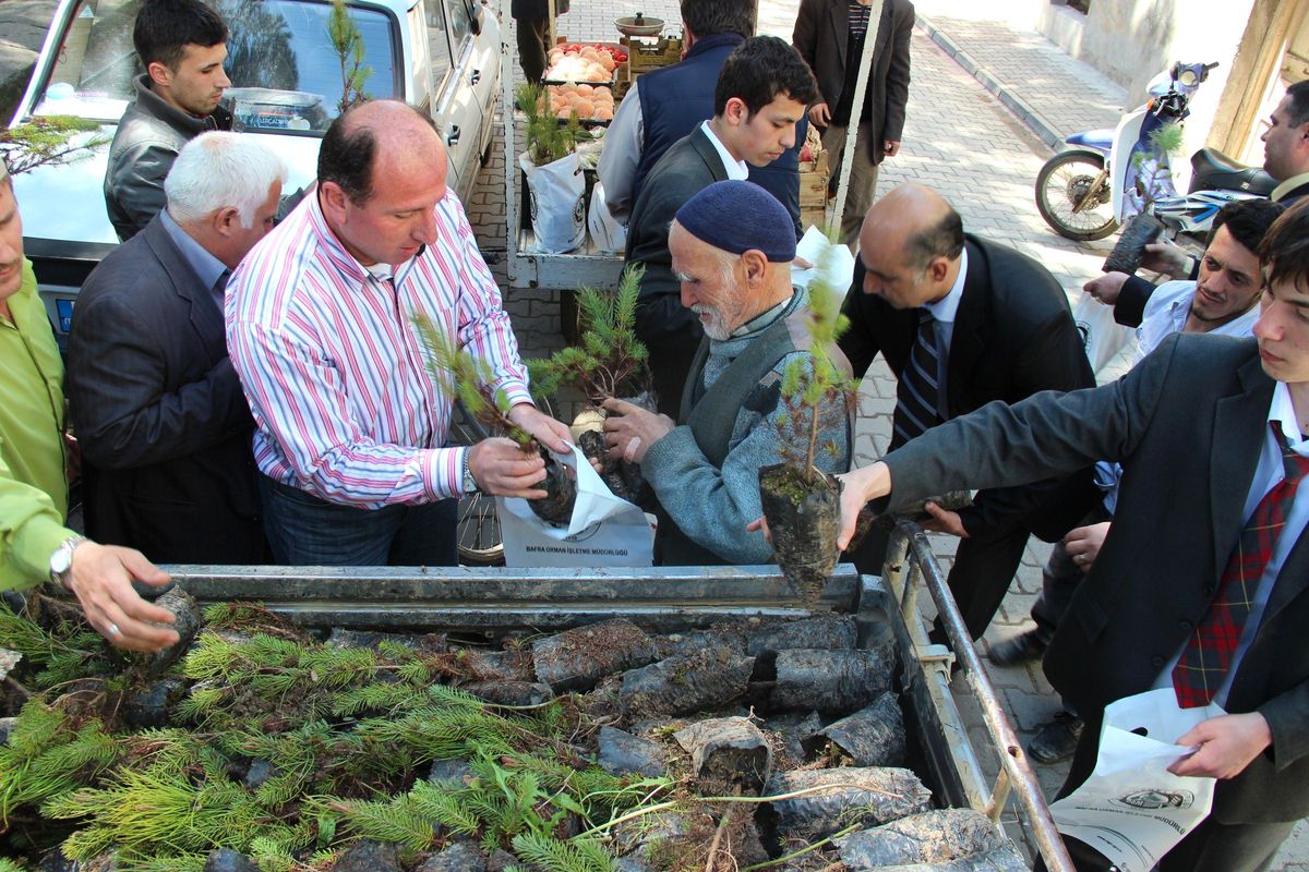 Bafra Fidan Dağıtıldı