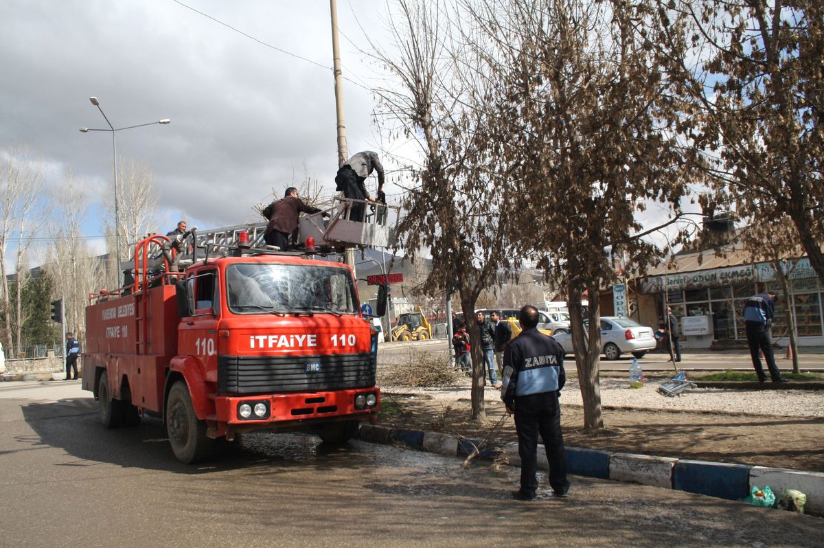 Belediyede Ağaç Budama Çalışması