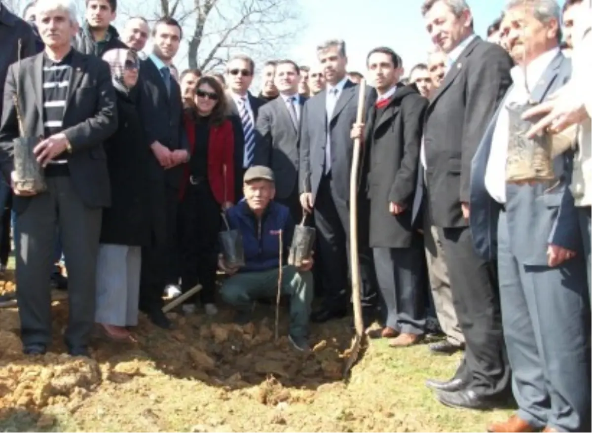 Deliveli Köyü\'ne Ceviz Ağacı Dikildi