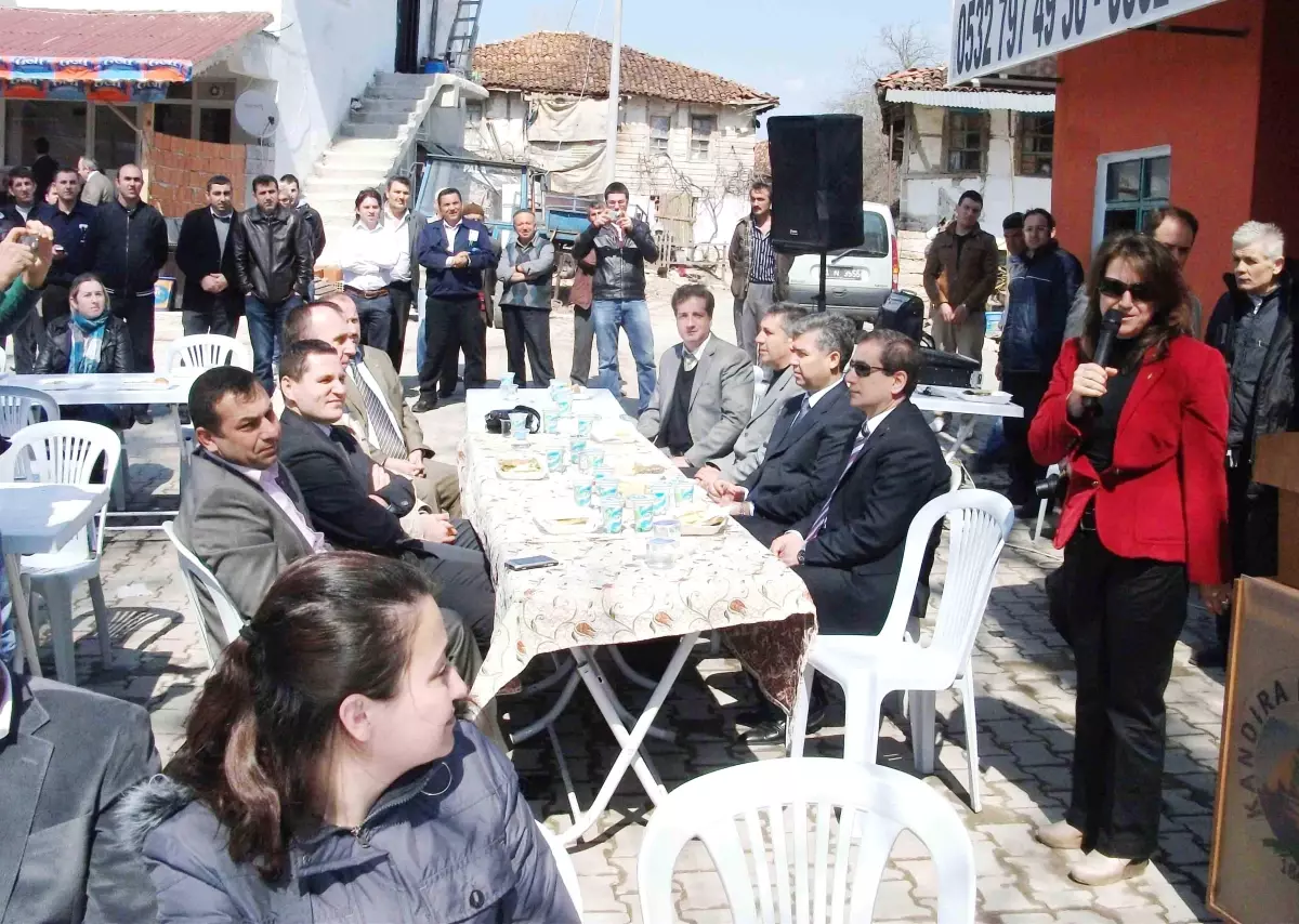 Deliveli Köyüne Ceviz Ağacı Dikildi