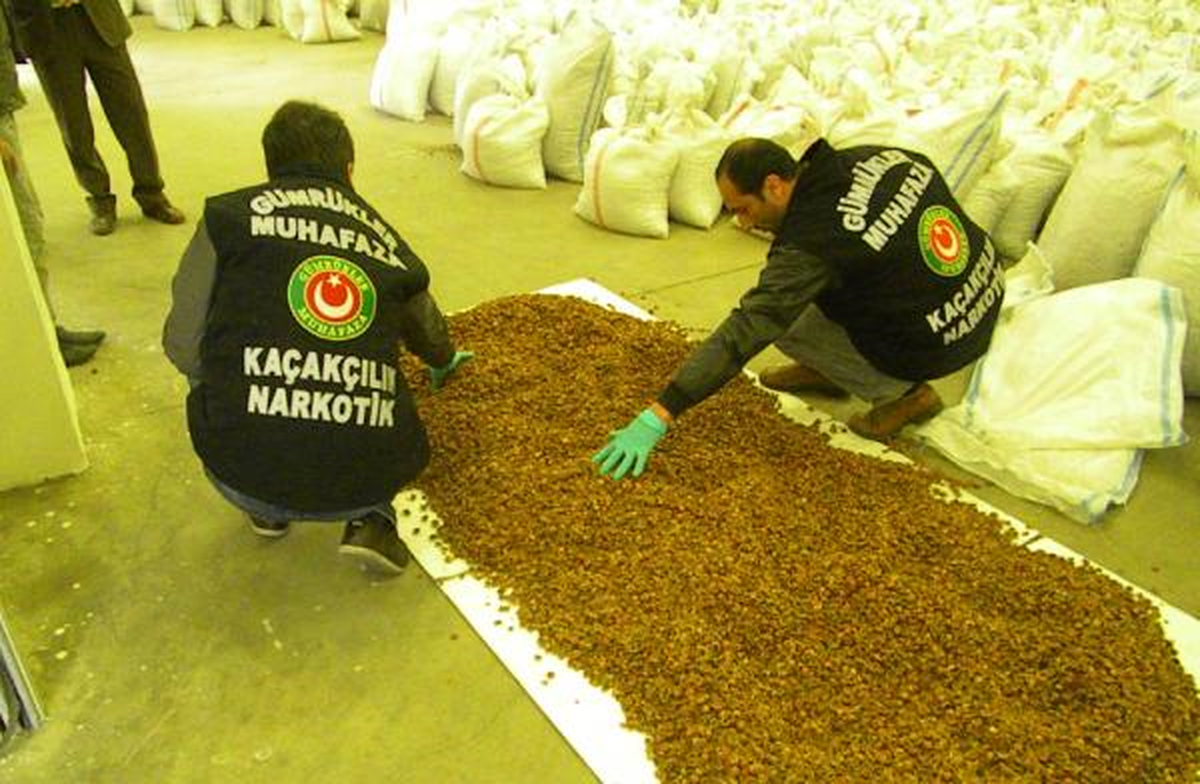 Fındık Beyan Ettiler, Çakıl Taşı Çıktı