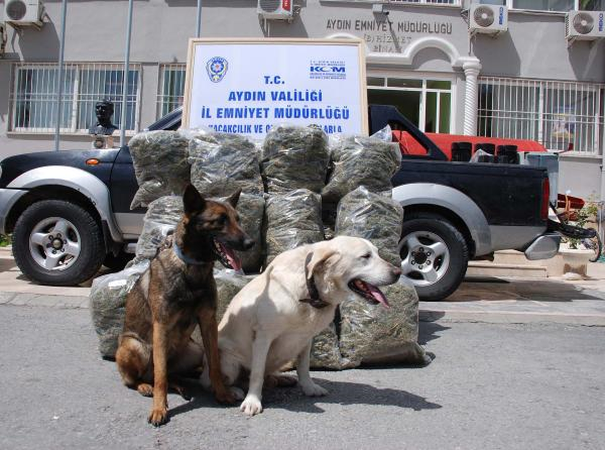 Hidrofor İçinde Esrar Sevkiyatına 6 Gözaltı