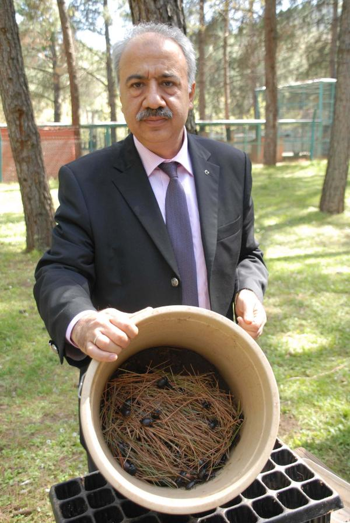 Terminatör Böcekleri Görev Başında