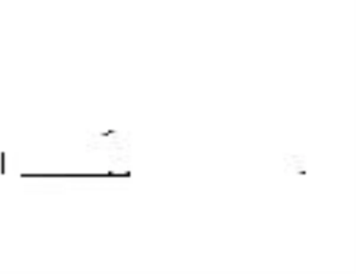 Thy, 21 - 24 Nisan Arasındaki Bazı Uçuşları İptal Etti