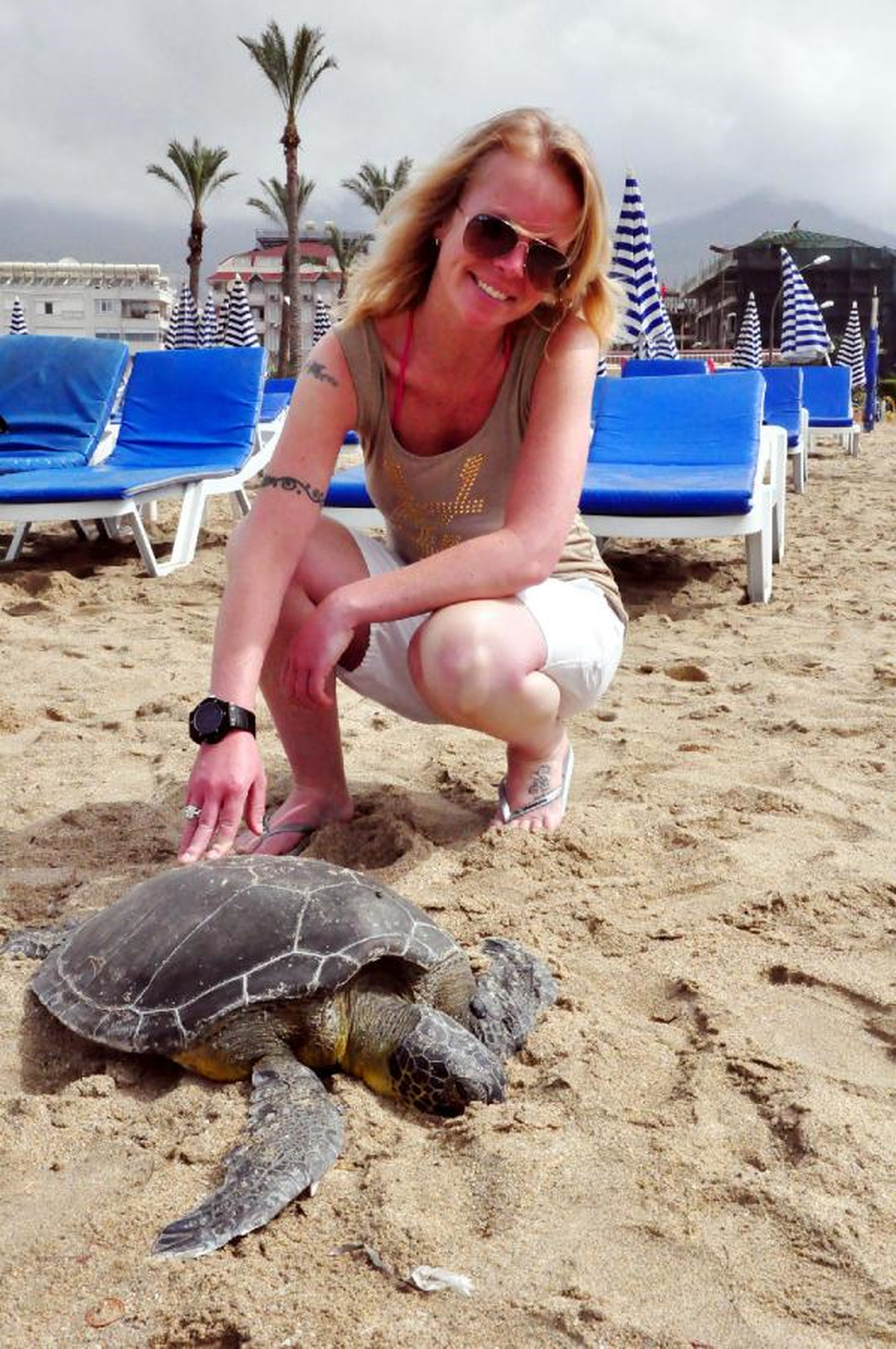 Alanya'da Caretta Caretta Ölüsü Sahile Vurdu