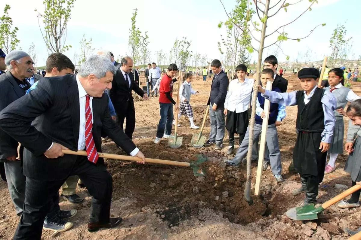 Hereke\'de Eski Maden Ocağı Alanı Ağaçlandırıldı