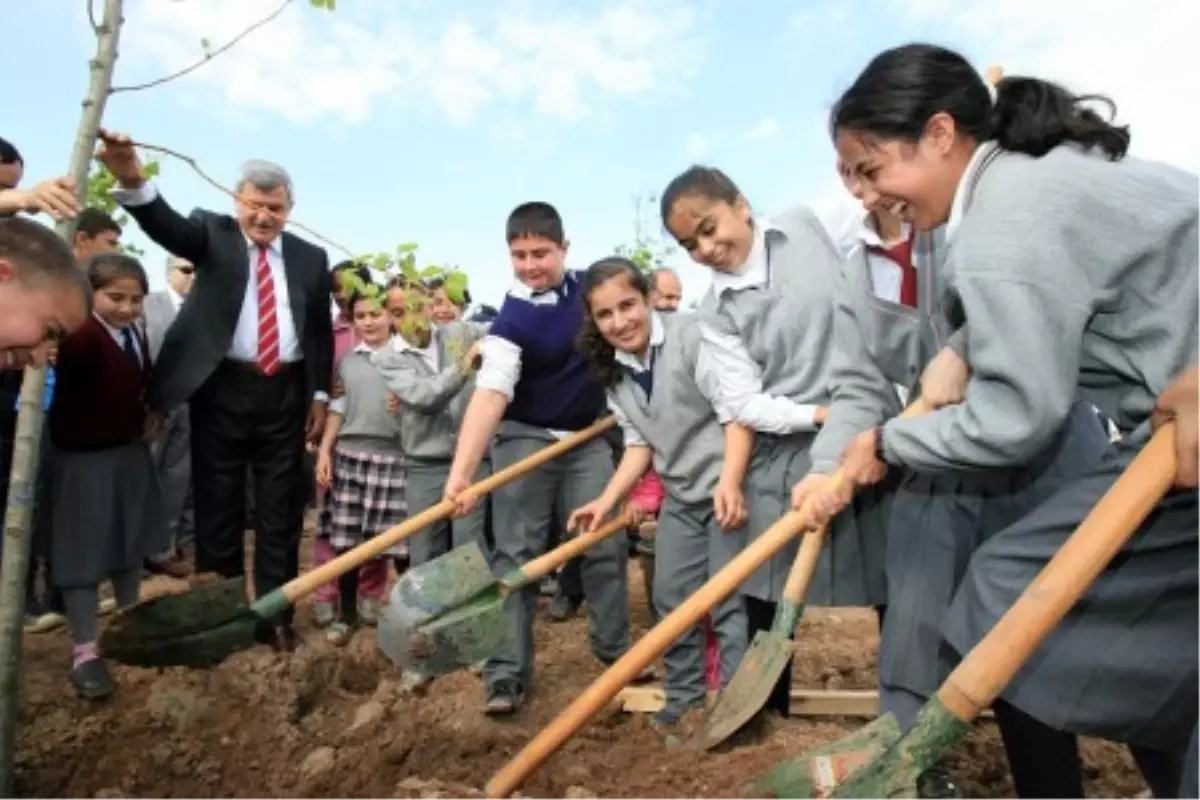 Maden Ocağıydı, Şimdi Orman Olacak