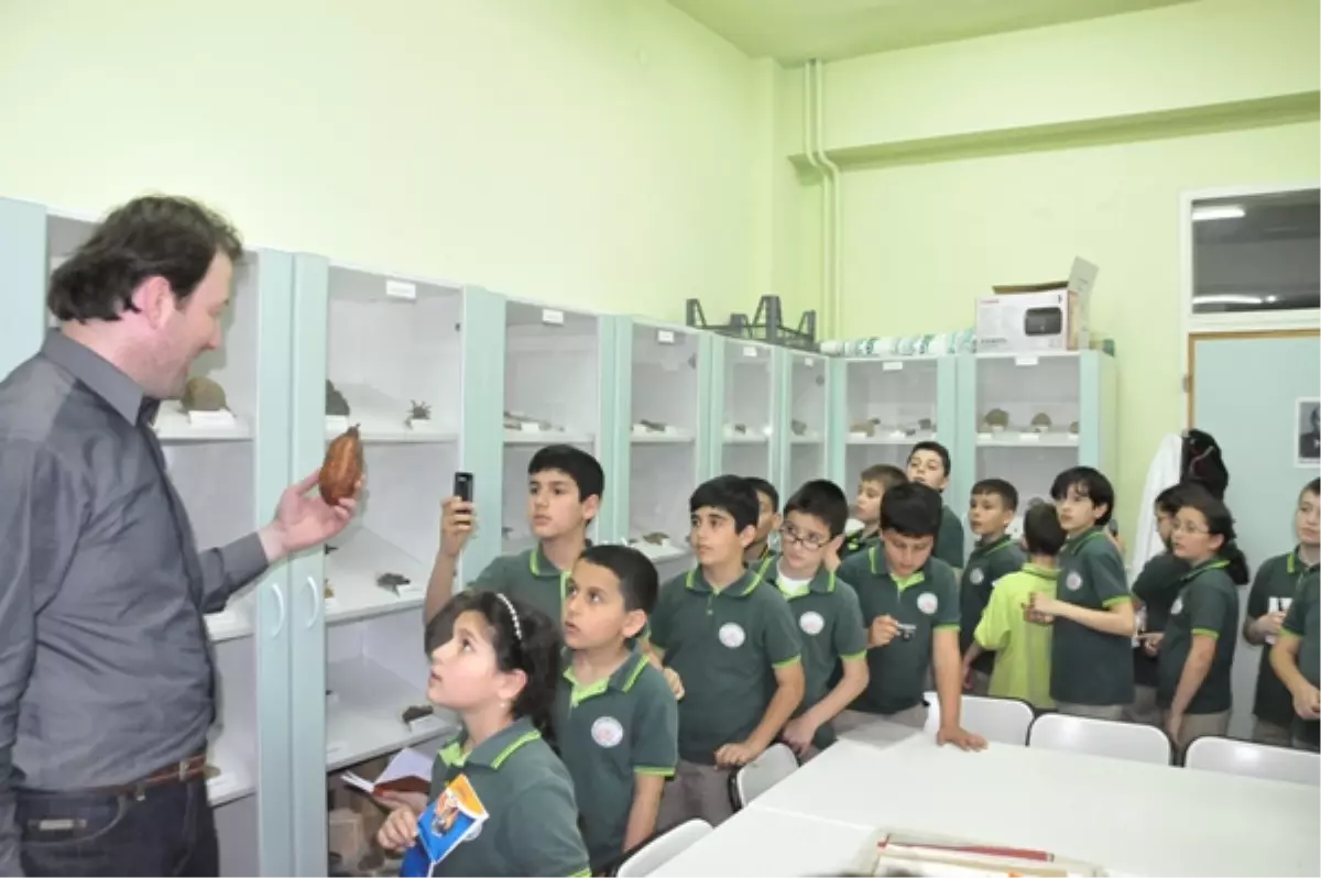 Öğrenciler Herbaryum ve Yaban Hayvanları Müzesini Gezdi