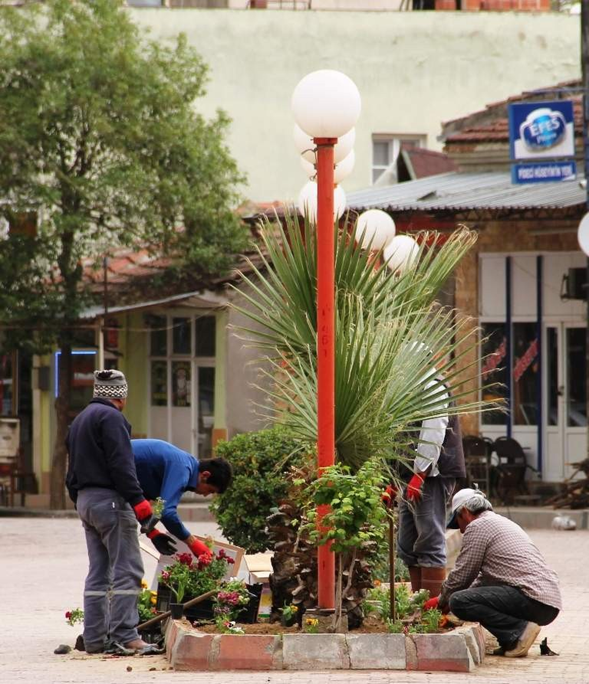 Sarıgöl Caddeleri Çiçek Açtı