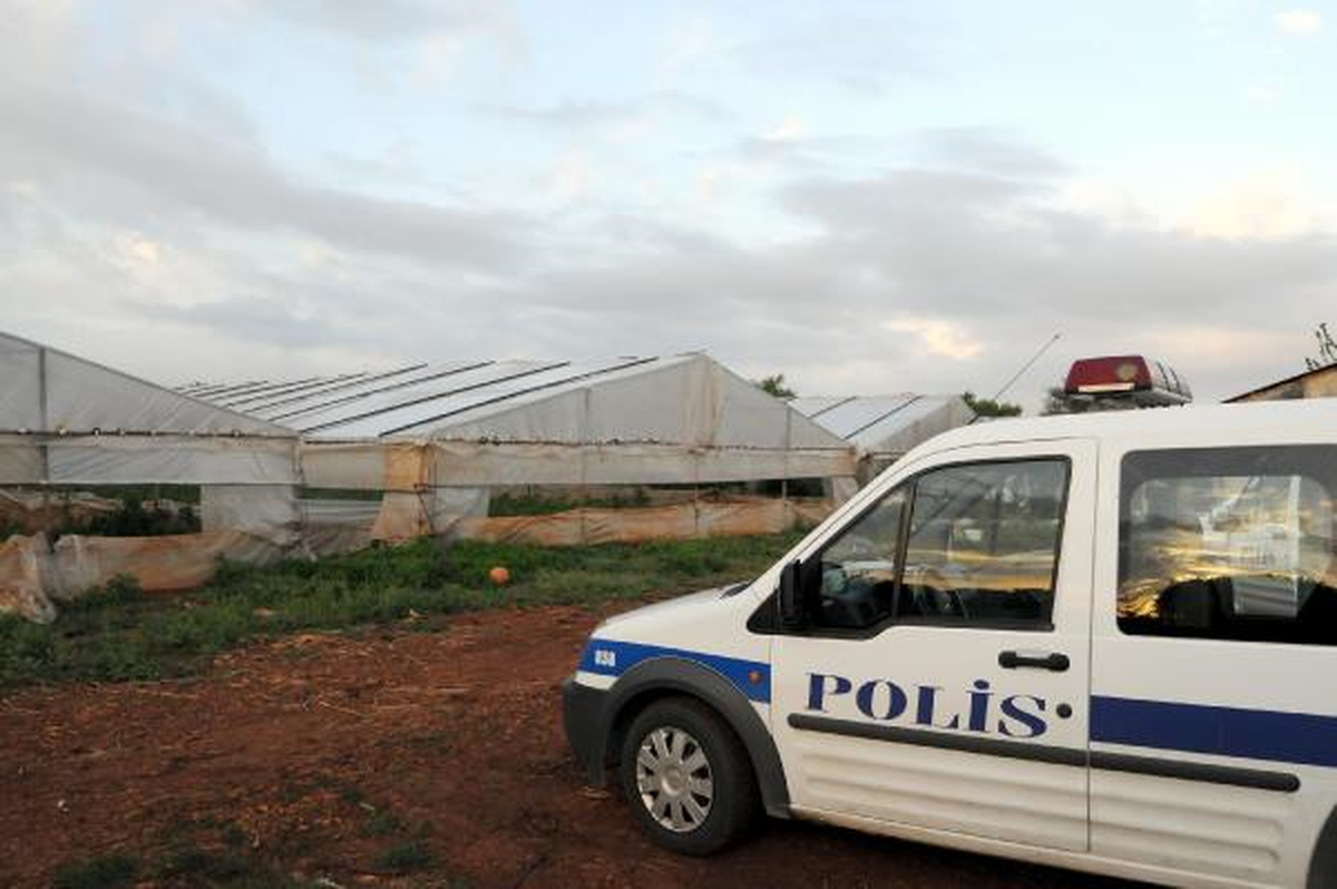 Antalya\'da 500 Kök Hint Keneviri Ele Geçirildi