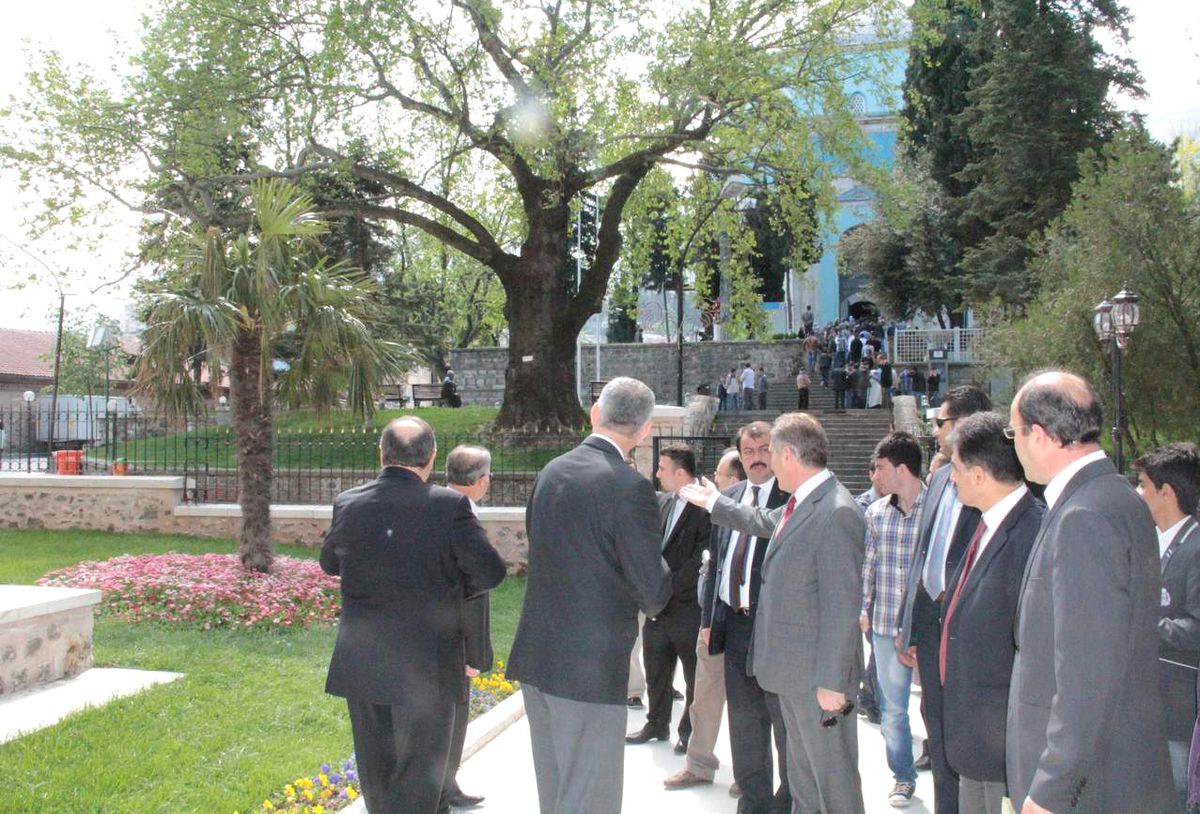 Bakan Günay\'ı Kızdıran Ağaç