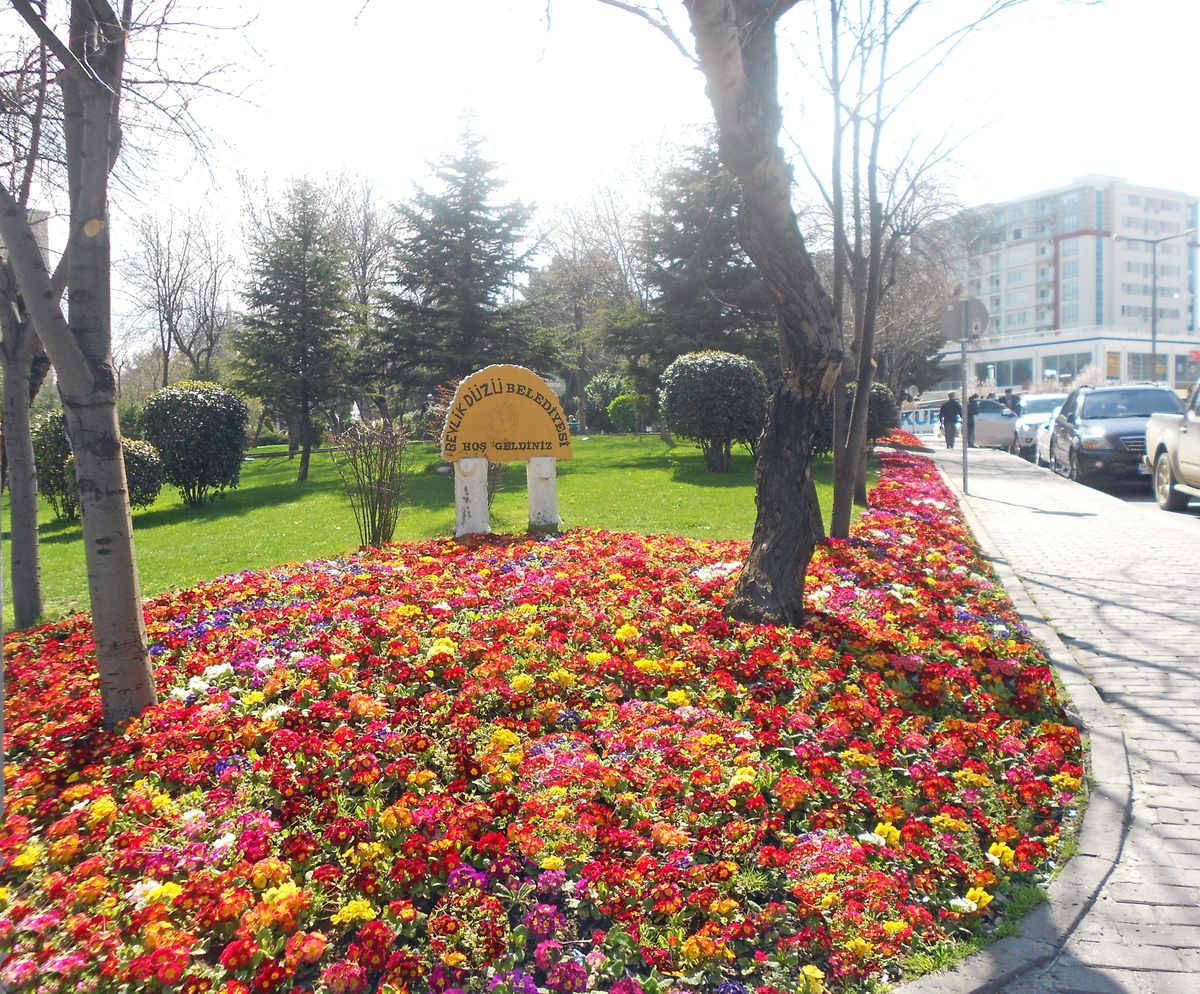 Beylikdüzü Çiçek Açtı