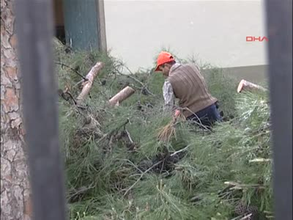 İzinli Kıyım, Mahalle Sakinini Böyle İsyan Ettirdi