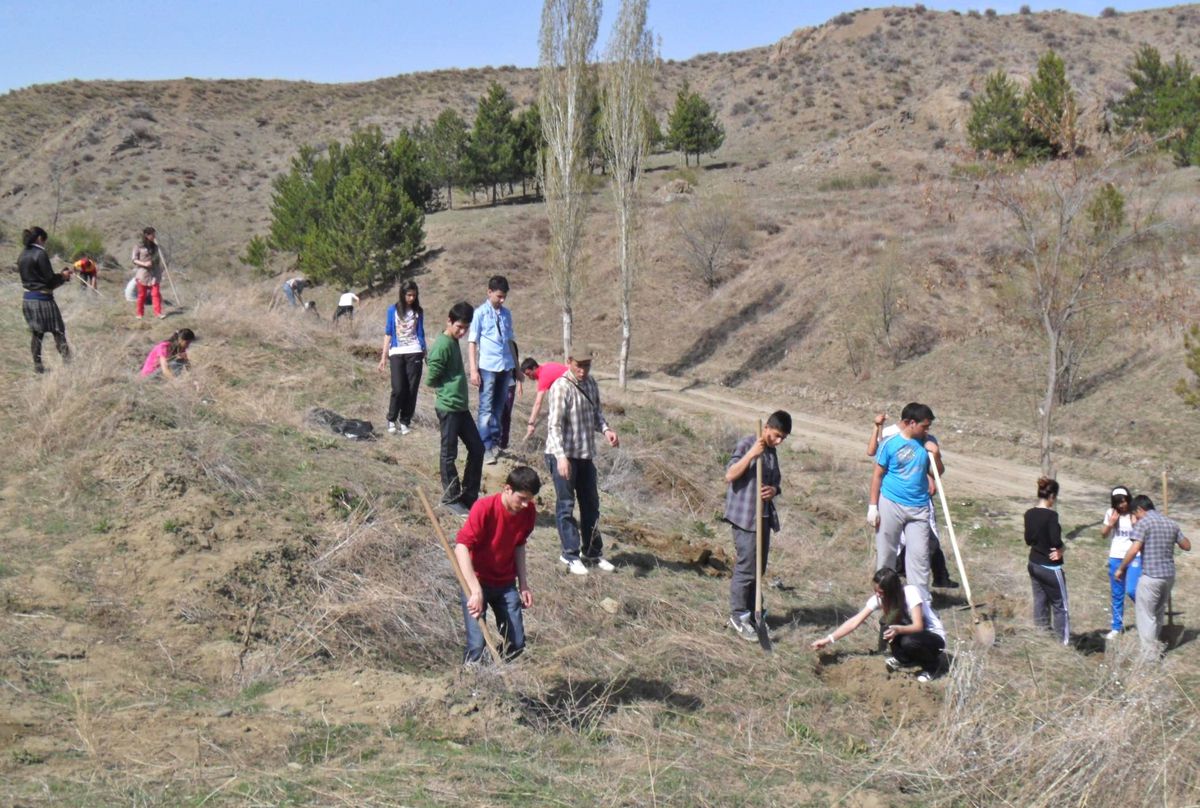 Sungurlu\'da İzciler Fidan Dikti