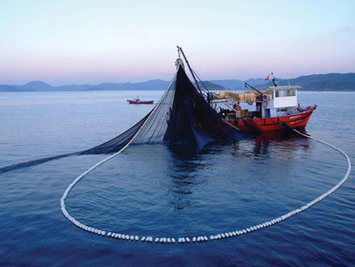 Marmara ve Karadeniz İçin Ortak Eylem Planı