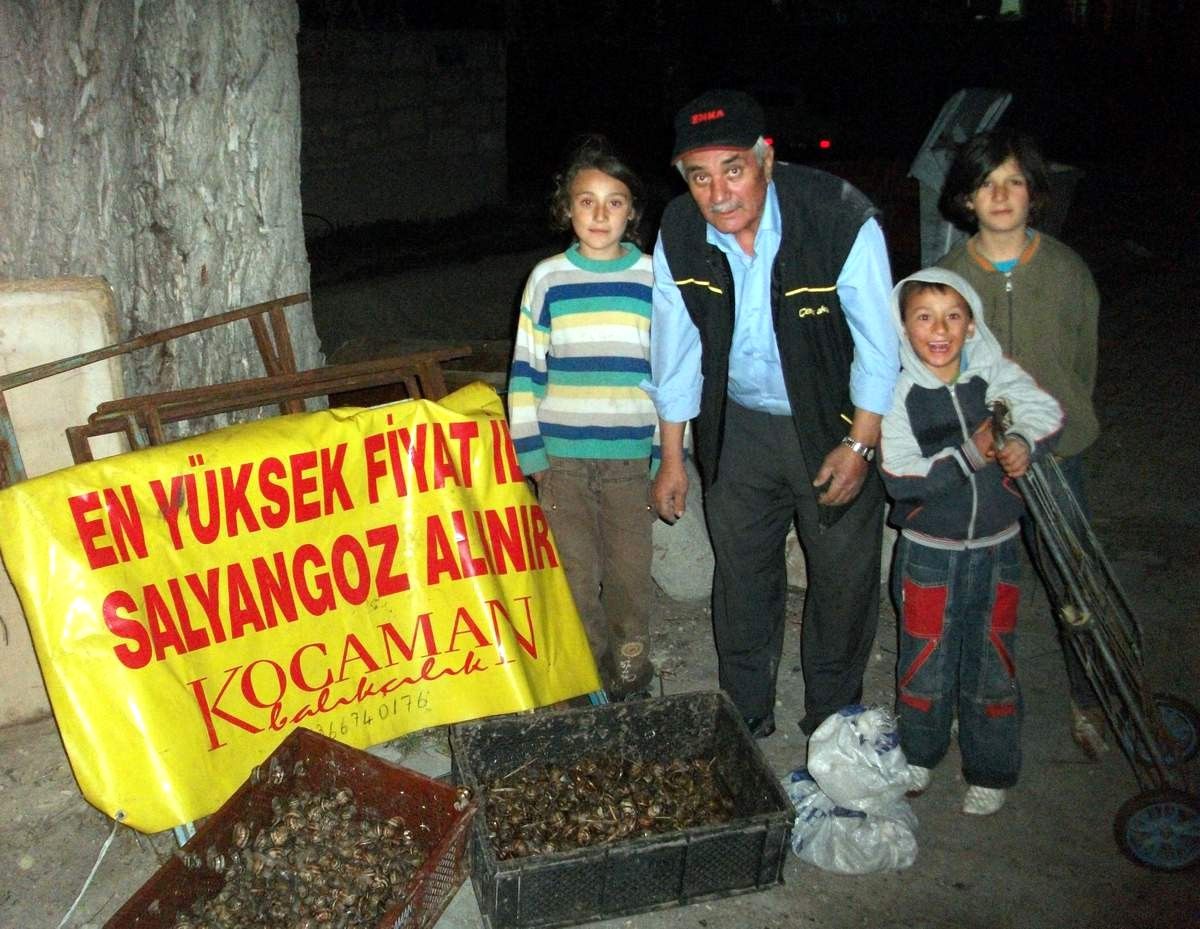 Salyongoz Geçim Kaynağı Oldu