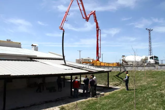 Van Kedi Evi’nde Hummalı Çalışma Son Dakika
