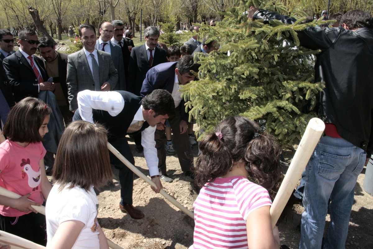 Erzincan'da Ağaç Dikme Şenliği