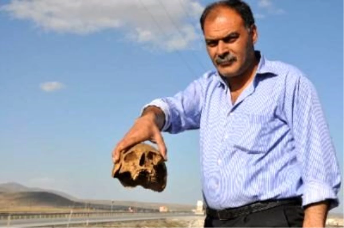 Hafriyat Çalışmasında İnsan Kafatası ve Kemikler Bulundu Bitlis\'in Tatvan İlçesi Dumlupınar...