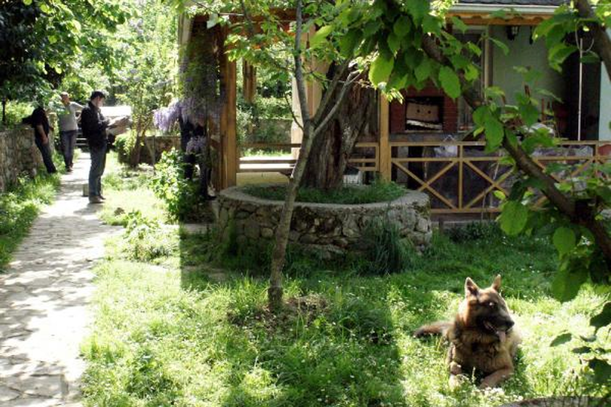 Sigorta Şirketi Genel Müdür Yardımcısının Villada Akılalmaz Ölümü