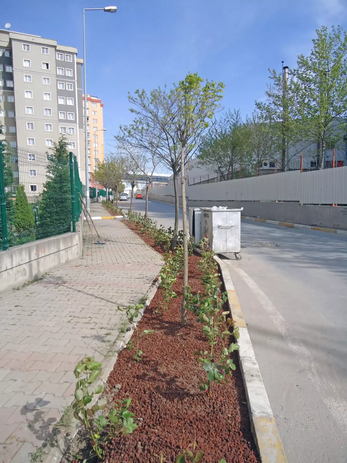 Beylikdüzünde Peyzajda Yeni Bir İlk!