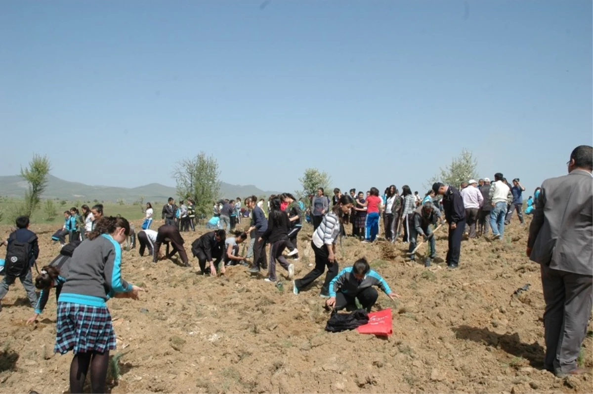 Eşme\'de Bin 500 Fıstık Çamı Toprakla Buluştu