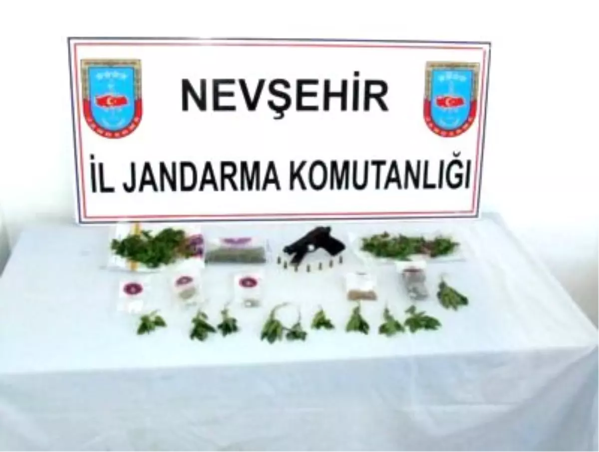 Jandarma Esrar ve Kenevir Ele Geçirdi